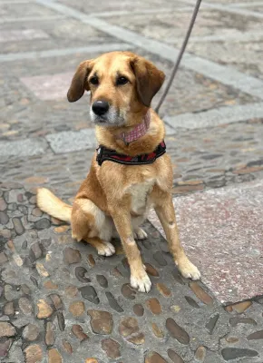 Otra foto de Dora