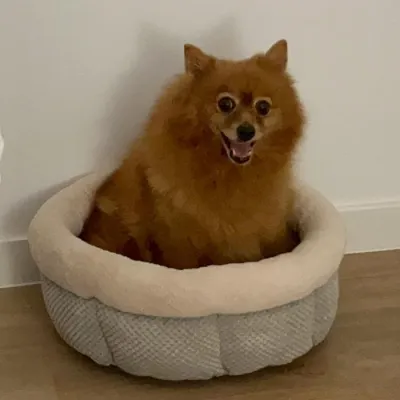 Otra foto de Penny