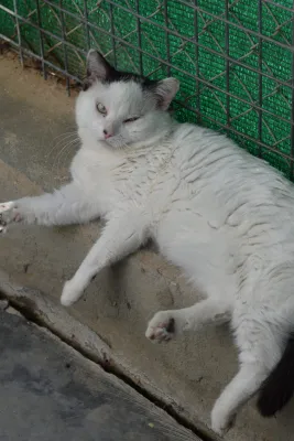 Otra foto de Ares
