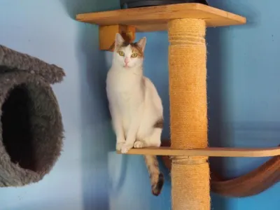 Otra foto de Dina