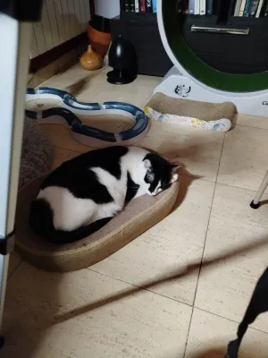 Otra foto de Hiru