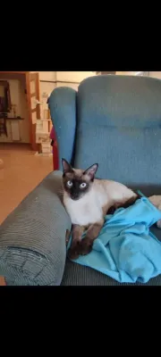 Otra foto de Mateo
